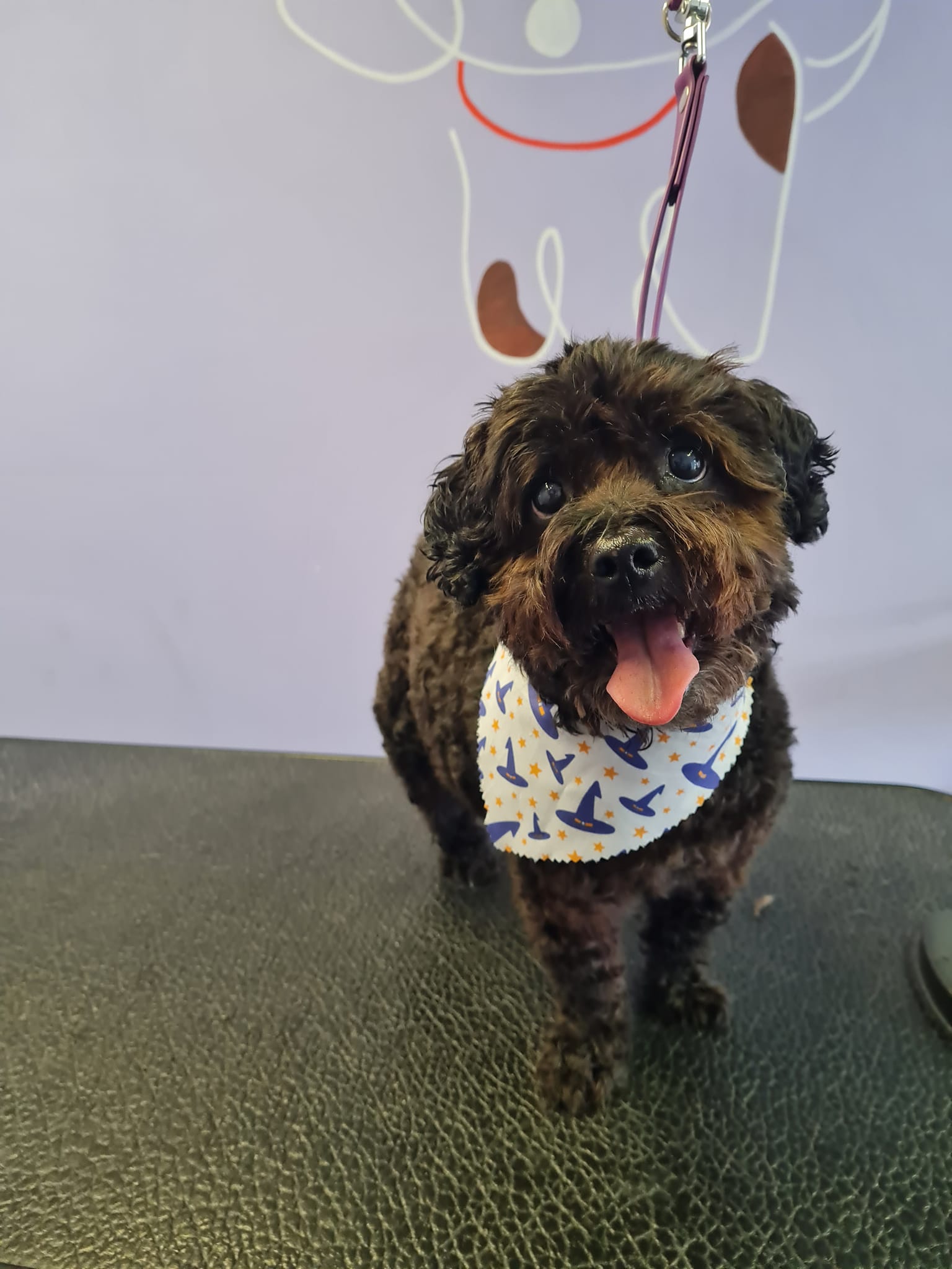 Pup in bandana